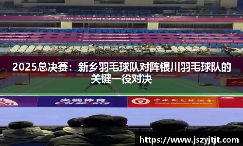 2025总决赛：新乡羽毛球队对阵银川羽毛球队的关键一役对决